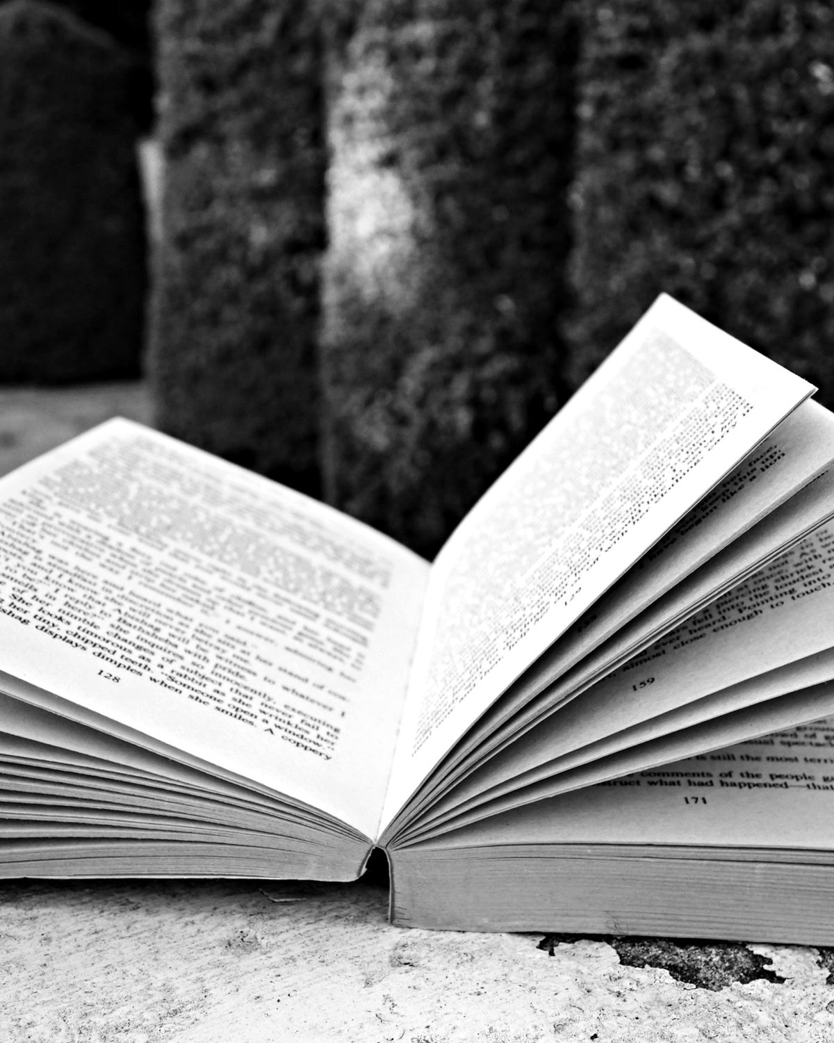 An open book with fanned pages resting on a stone ledge in a garden
